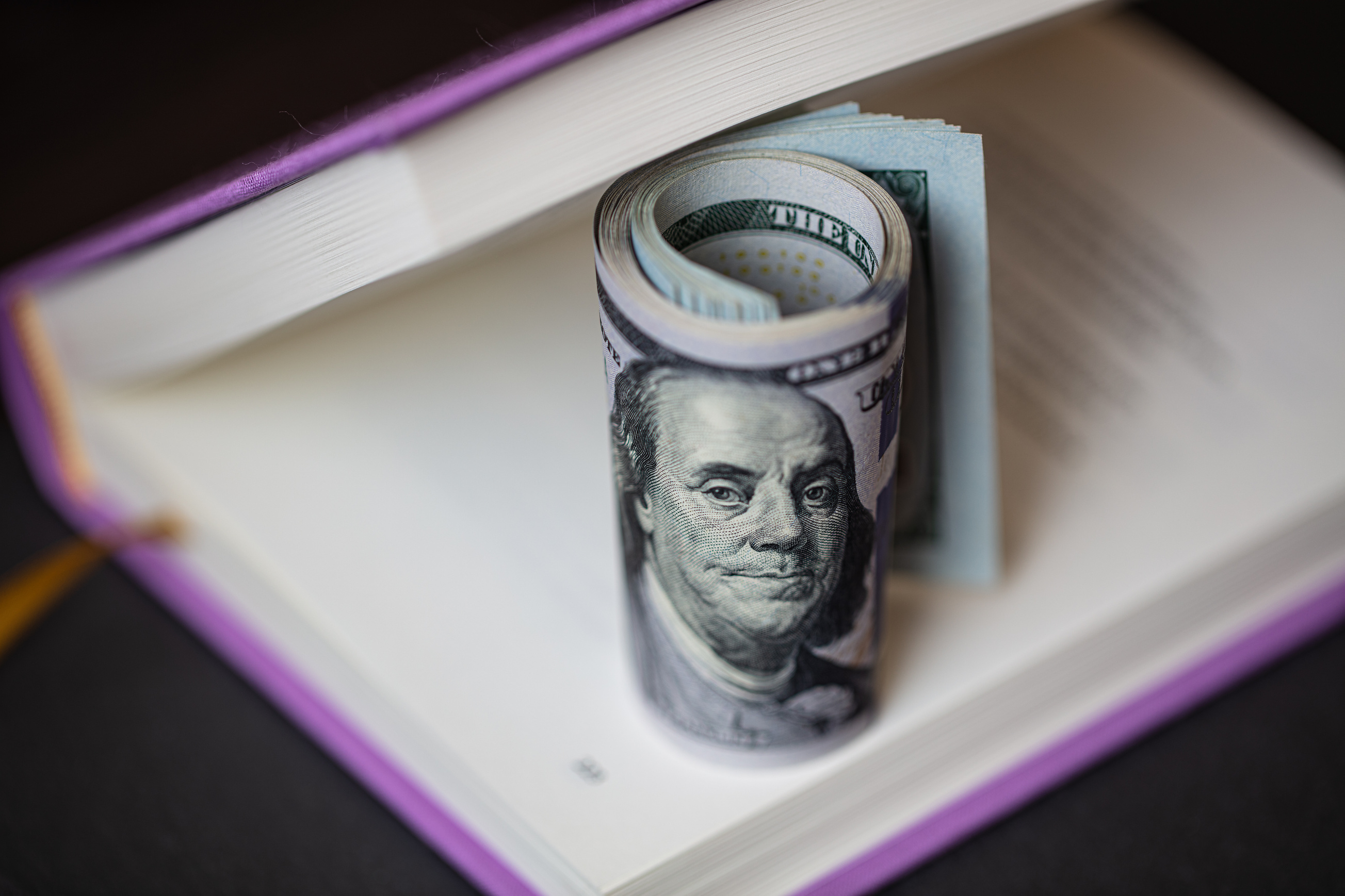 Rolled Dollar Banknote in a Purple Book